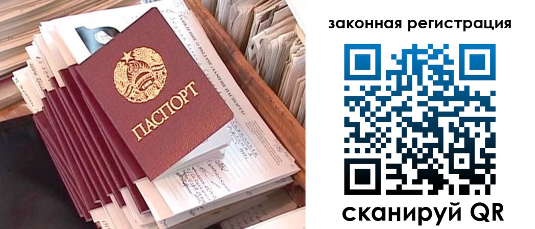 прописка для работы в Светлогорске