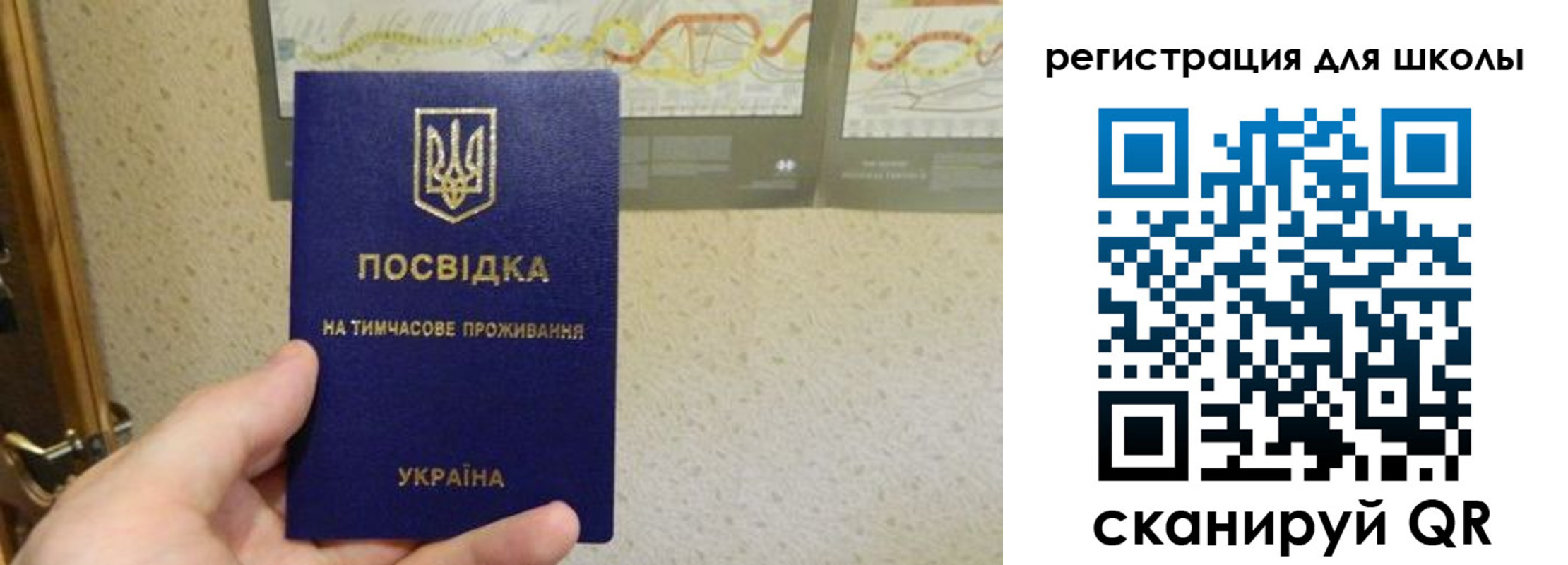форма 3 в Светлогорске